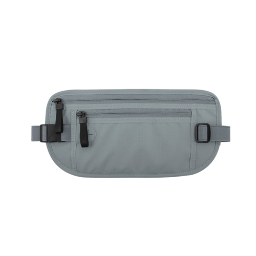 Anti-theft waist pouch