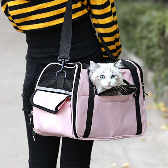 best cat carrier