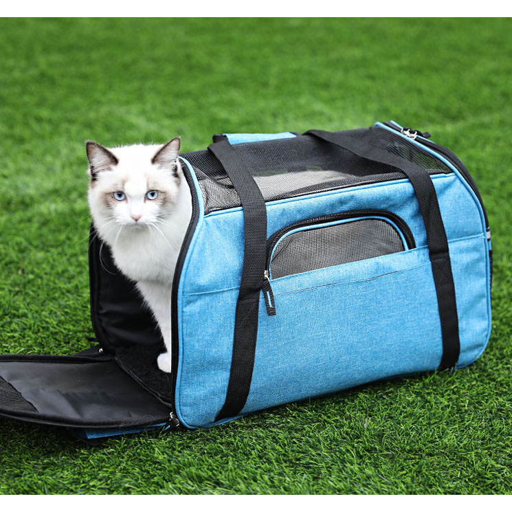 collapsible cat carrier