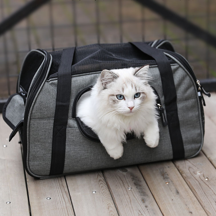 american airlines pet carrier