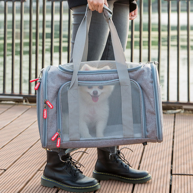 dog carrier walmart