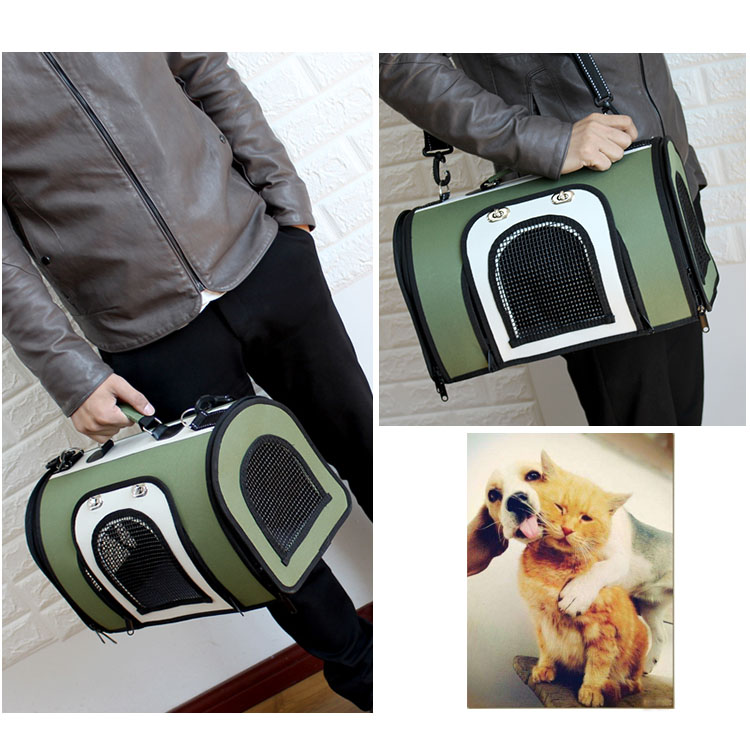 fashion pet carrier