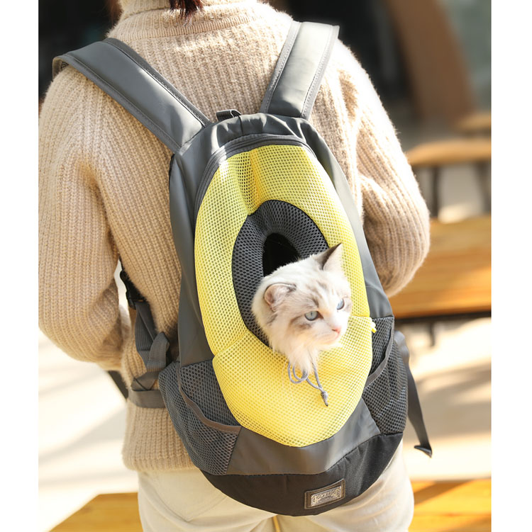 dog front backpack