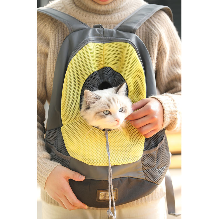 cat front carrier