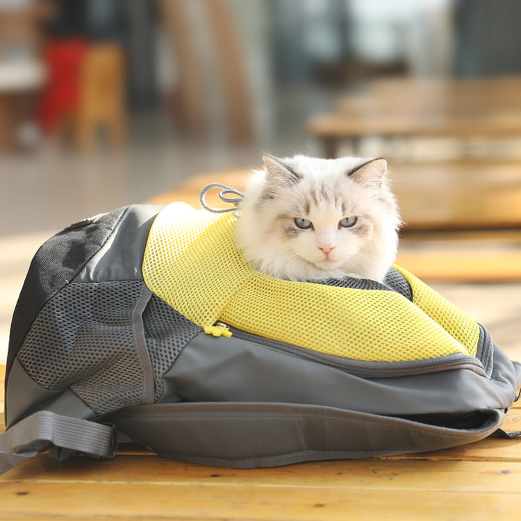 dog holder backpack