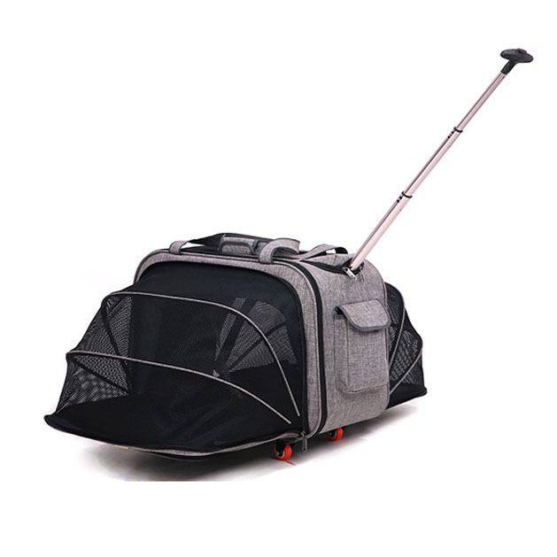 multifunction pet carrier