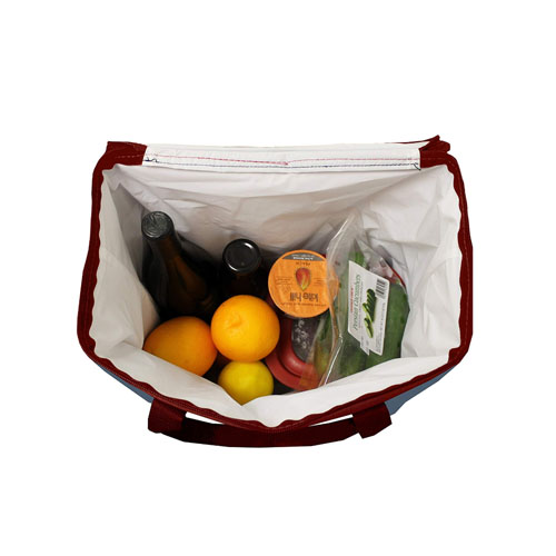 Beach cooler bag