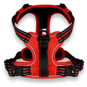 best dog harness