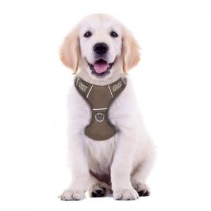 dog harness