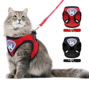 cat harness