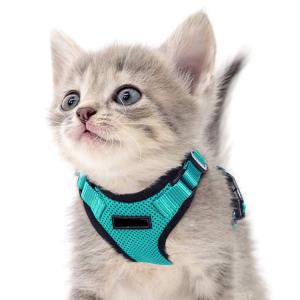 cat harness