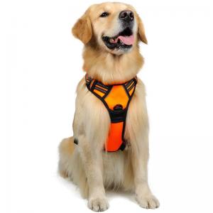 Pet harness