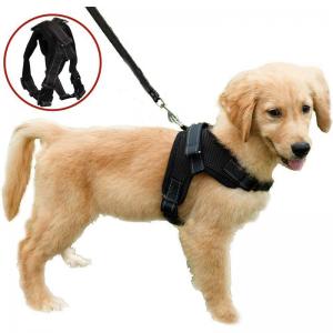 Pet harness