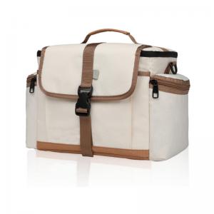Insulated Lunch Cooler Bag
